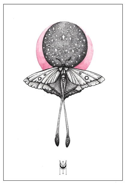 A long-tailed moth below a stippled moon edged with a pink halo.