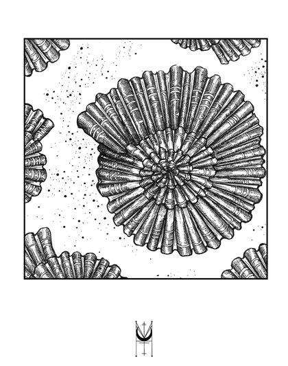 A radial shell drawing repeated at the edges of a framed composition.