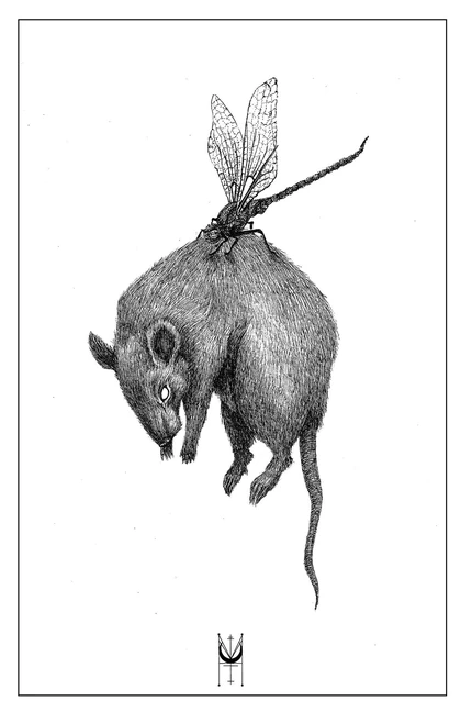 A curled rat suspended beneath a dragonfly-like insect in a black line drawing.